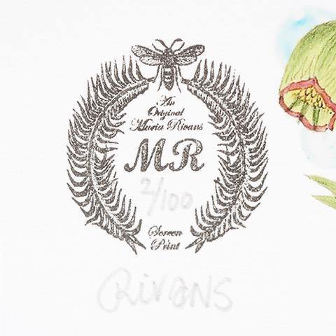 Maria Rivans White Grape and Elderflower Giclee [1 of 100] - Lilo Drinks